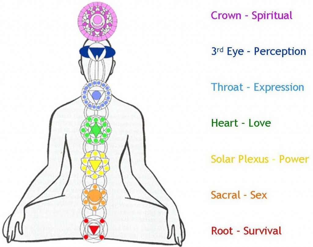 7-chakras-in-the-body-symbols-and-meaning-1024x810-meditationgongs.net_